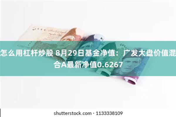 怎么用杠杆炒股 8月29日基金净值：广发大盘价值混合A最新净