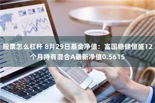 股票怎么杠杆 8月29日基金净值：富国稳健恒盛12个月持有混