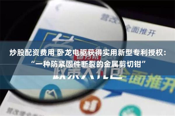 炒股配资费用 卧龙电驱获得实用新型专利授权：“一种防紧固件断裂的金属剪切钳”