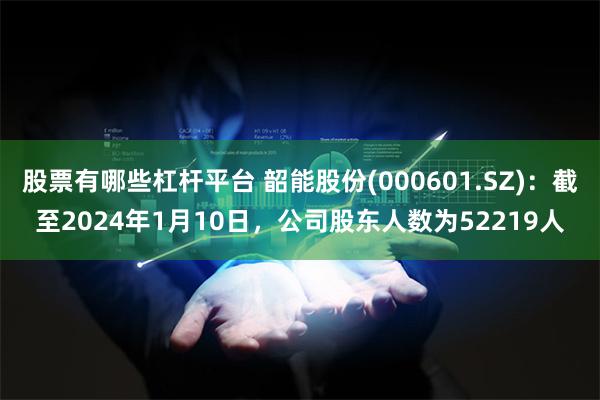 股票有哪些杠杆平台 韶能股份(000601.SZ)：截至2024年1月10日，公司股东人数为52219人