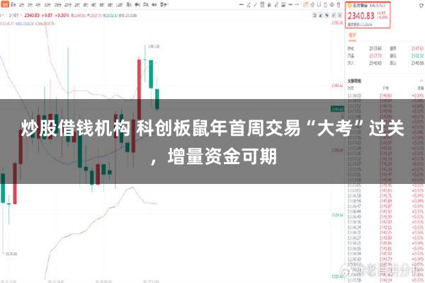 炒股借钱机构 科创板鼠年首周交易“大考”过关，增量资金可期