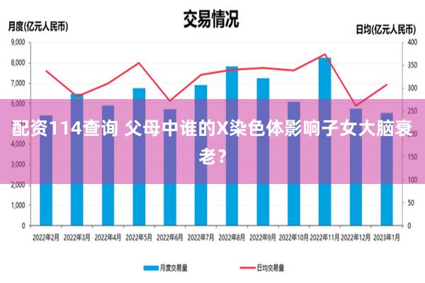 配资114查询 父母中谁的X染色体影响子女大脑衰老？