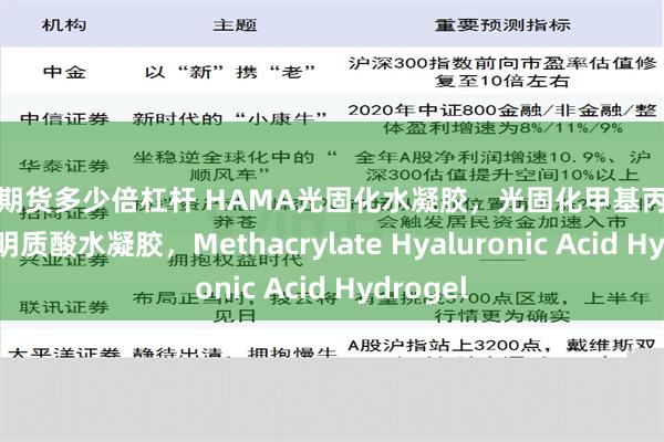 股指期货多少倍杠杆 HAMA光固化水凝胶，光固化甲基丙烯酸酯化透明质酸水凝胶，Methacrylate Hyaluronic Acid Hydrogel